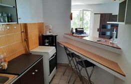 Garsoniera, 45 mp, mobilata, zona Ramiro