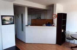 Garsoniera, 45 mp, mobilata, zona Ramiro