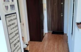 Garsoniera, 45 mp, mobilata, zona Ramiro