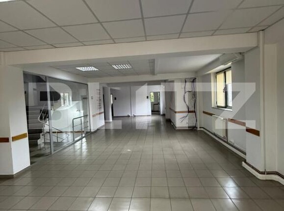 Spațiu comercial de închiriat Central - 171089SIC | BLITZ Suceava | Poza13