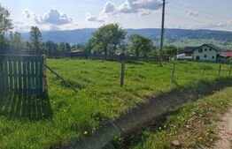 Teren intravilan + extravilan de vanzare, 1480 mp, zona Neagra Sarului