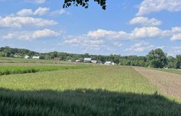 Teren de vânzare Sud Est - 177901TV | BLITZ Suceava | Poza5