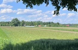 Teren extravilan, 4000mp,  Fratautii vechi