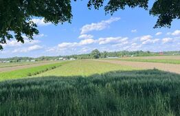 Teren extravilan, 4000mp,  Fratautii vechi