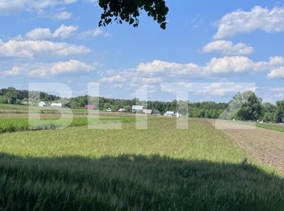 Teren de vânzare Fratautii Vechi - 171166TV | BLITZ Suceava | Poza1