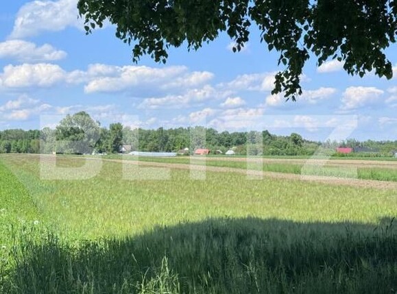 Teren de vânzare Fratautii Vechi - 171166TV | BLITZ Suceava | Poza2