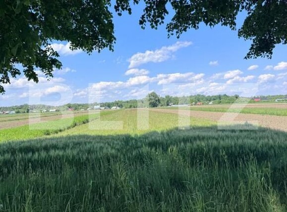 Teren de vânzare Fratautii Vechi - 171166TV | BLITZ Suceava | Poza3