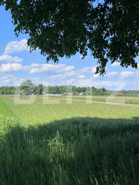 Teren de vânzare Fratautii Vechi - 171166TV | BLITZ Suceava | Poza2