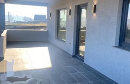 Casa individuala, 164 mp utili, zona Mitoc