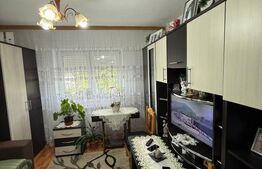 Garsoniera, de vanzare, 22,5 mp, zona Gara Burdujeni