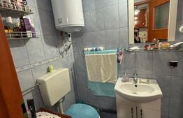 Garsoniera, de vanzare, 22,5 mp, zona Gara Burdujeni