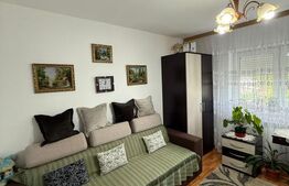 Garsoniera, de vanzare, 22,5 mp, zona Gara Burdujeni