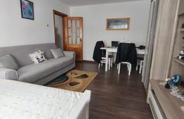 Apartament 2 camere, 49 mp, decomandat, Siret