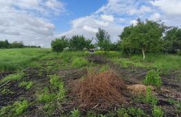 Casa 4 camere, 6000mp teren, zona centrala, Negostina, Siret