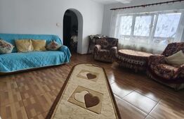 Casa 4 camere, 6000mp teren, zona centrala, Negostina, Siret