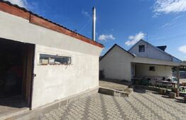 Casa 4 camere, 6000mp teren, zona centrala, Negostina, Siret