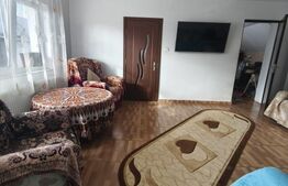 Casa 4 camere, 6000mp teren, zona centrala, Negostina, Siret