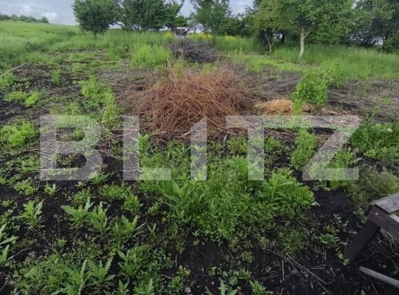 Casa de vânzare 4 camere Negostina - 171419CV | BLITZ Suceava | Poza17