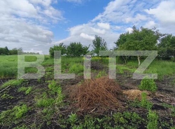 Casa de vânzare 4 camere Negostina - 171419CV | BLITZ Suceava | Poza16