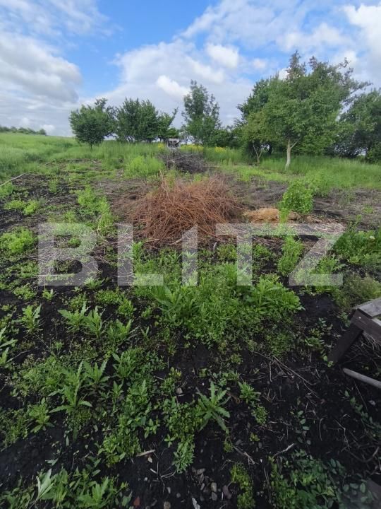 Casa de vânzare 4 camere Negostina - 171419CV | BLITZ Suceava | Poza17