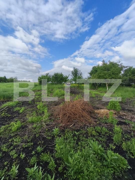 Casa de vânzare 4 camere Negostina - 171419CV | BLITZ Suceava | Poza16