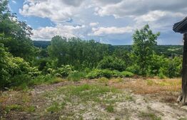 Teren de vanzare, 3800 mp, casă bătrânească demolabilă, zona Adâncata 