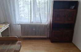 Garsoniera, de vanzare, 20 mp, zona Gara Burdujeni