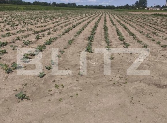 Teren de vânzare Radauti - 171587TV | BLITZ Suceava | Poza2