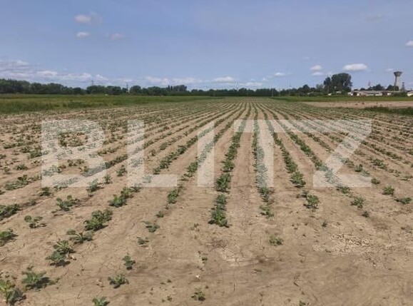 Teren de vânzare Radauti - 171587TV | BLITZ Suceava | Poza1