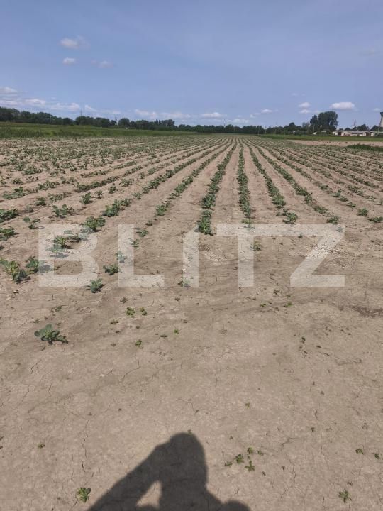 Teren de vânzare Radauti - 171587TV | BLITZ Suceava | Poza2