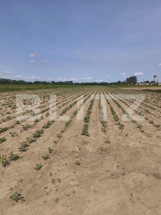 Teren de vânzare Radauti - 171587TV | BLITZ Suceava | Poza1