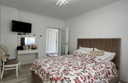 Casă individuală, 100mp utili, 720mp teren, renovată, zona Centrală