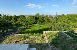 Casă individuală, 100mp utili, 720mp teren, renovată, zona Centrală