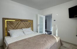 Casă individuală, 100mp utili, 720mp teren, renovată, zona Centrală