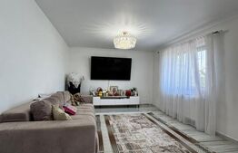 Casă individuală, 100mp utili, 720mp teren, renovată, zona Centrală