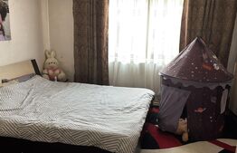 Casă  în Vatra Dornei + teren 2000 mp