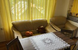 Casă de vânzare în Vatra Dornei, teren 2000 mp