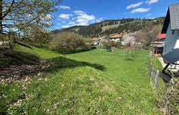 Casă  în Vatra Dornei + teren 2000 mp
