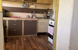 Casă  în Vatra Dornei + teren 2000 mp