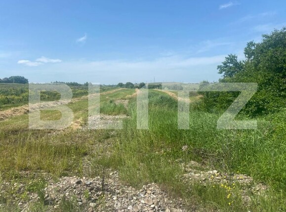 Teren de vânzare Vest - 171745TV | BLITZ Suceava | Poza1