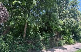 Teren constructii, 4200mp, Radauti