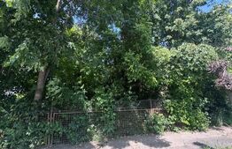 Teren constructii, 4200mp, Radauti