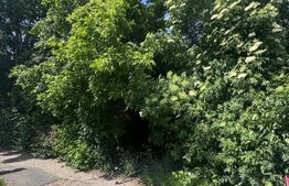 Teren constructii, 4200mp, Radauti