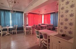 Hotel 21 camere cu  restaurant , Radauti