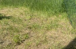 Teren intravilan în Vatra Dornei, str Roșu,  1000 mp