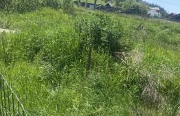 Teren intravilan în Vatra Dornei, 1000 mp