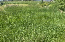 Teren intravilan în Vatra Dornei, str Roșu,  1000 mp