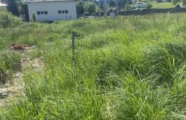 Teren intravilan în Vatra Dornei, str Roșu,  1000 mp
