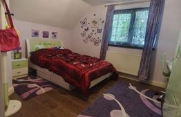 Casa + teren 2600mp, zona Horodnic de Sus, Radauti