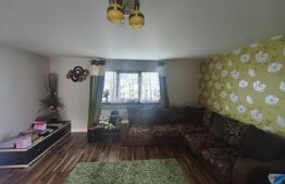 Casa + teren 2600mp, zona Horodnic de Sus, Radauti